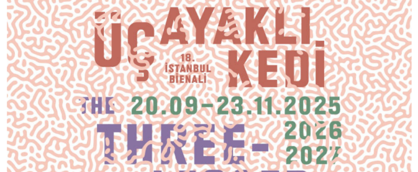 İSTANBUL BİENALİ’NE ÖZEL GEZİ / ÜÇ AYAKLI KEDİ